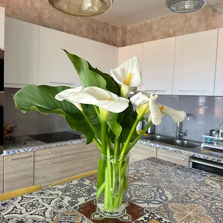Apartment W *
