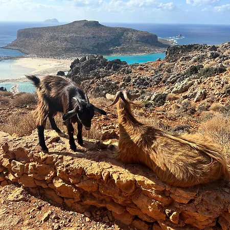 Διαμέρισμα W *