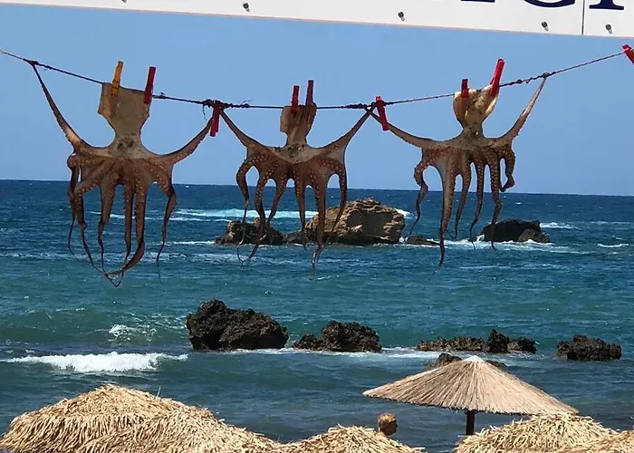 W Διαμέρισμα *