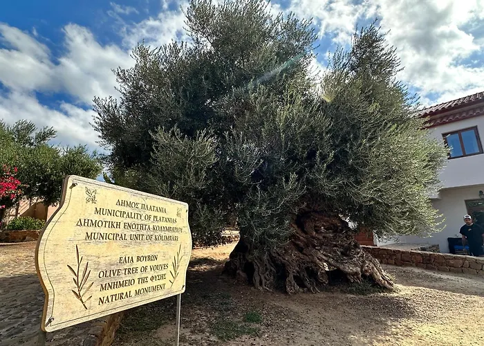 Διαμέρισμα W Χανιά