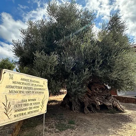 Appartement W La Canée